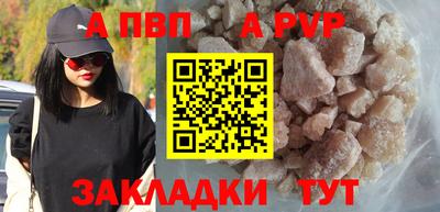 a pvp Кингисепп