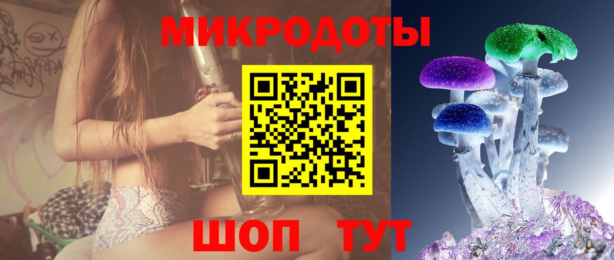 Ейск  Галлюциногенные грибы мицелий  Псилоцибиновые грибы прущие грибы  Вход с VPN 